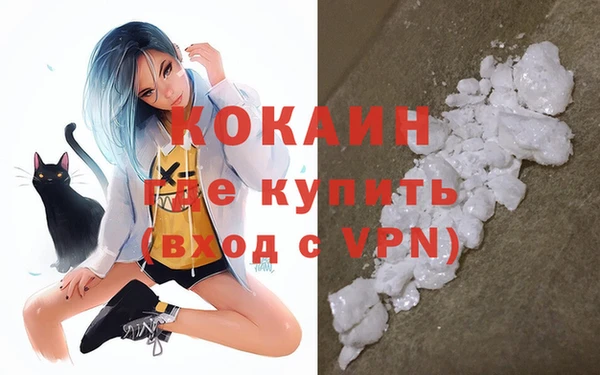стаф Вяземский