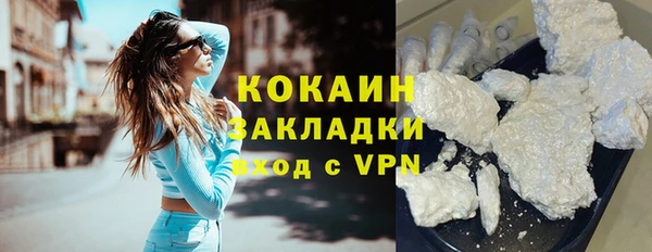стаф Вяземский
