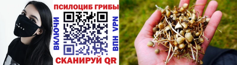 Псилоцибиновые грибы Magic Shrooms  купить наркотик  Цоци-Юрт 